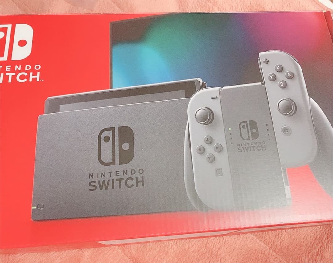 NintendoSwitch グレー 本体