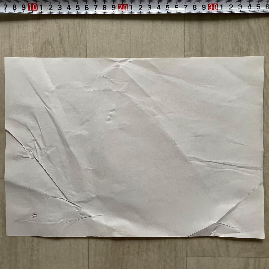 決定稿 1枚 設定資料 マゼラン ドクドクの実 ver Magellan ワンピ