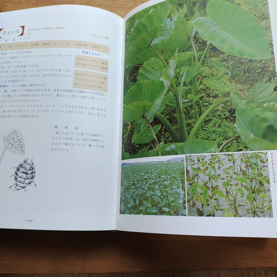 おきなわの薬草百科