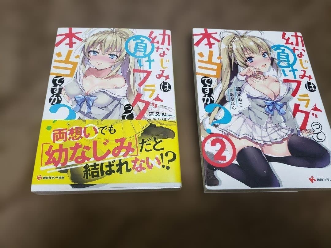 ★５００円クーポン利用ＯＫ★Ａ４サイズ・目安文庫本４冊・１０００円★全品は１万円