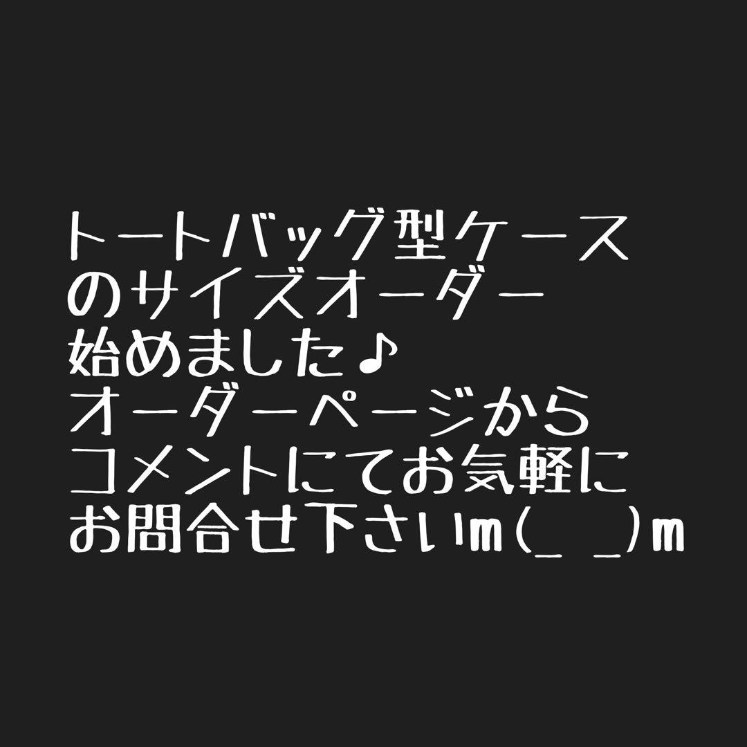guy様AS2OVアッソブ ローバーチェア２脚用収納トートバッグ 仕切有Ｅ