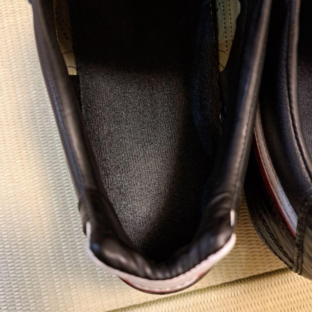 Mizuno Professional Model サッカースパイク