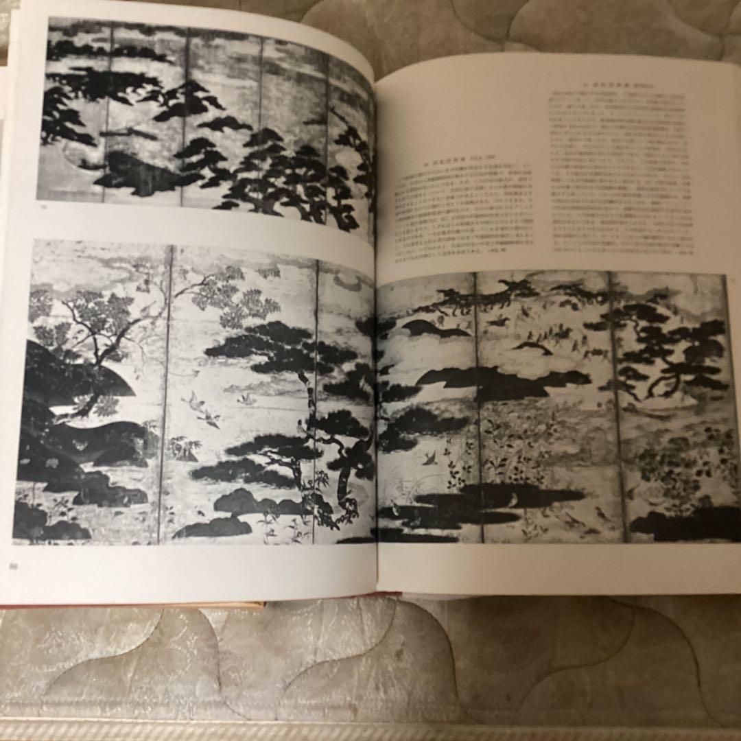 近世絵画　日本美術大系v 浅野長武監修　大塚巧藝写真　講談社写真部