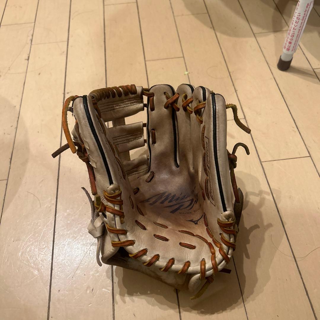 Mizunoプロタティスモデル