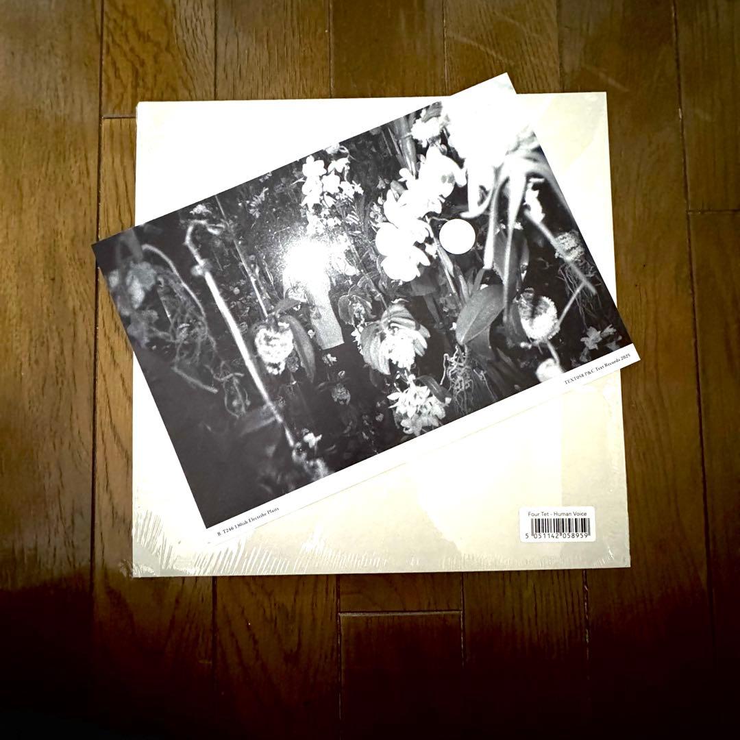 Four Tet - Human Voice 12インチ レコード(送料込み)