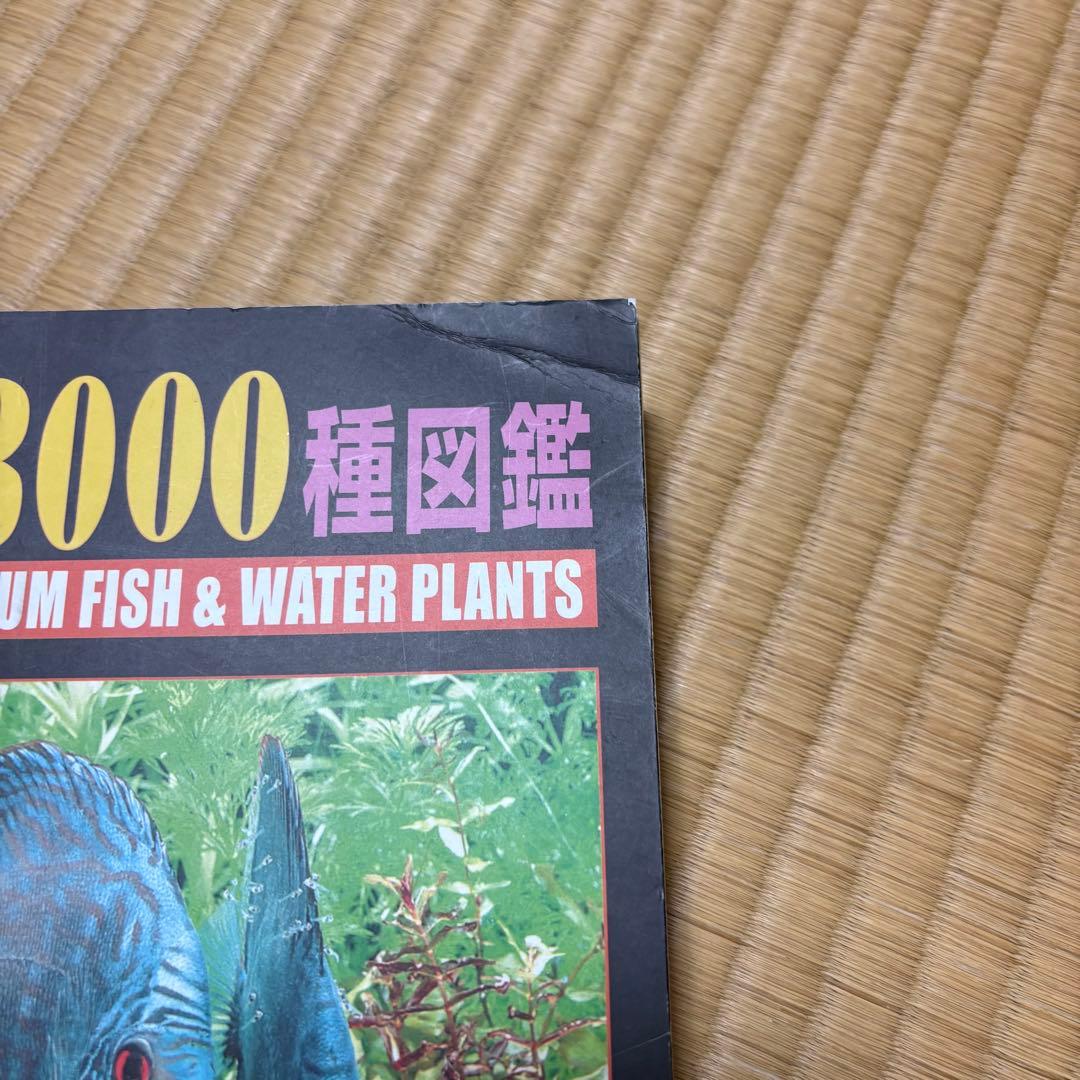 熱帯魚・水草 3000種図鑑