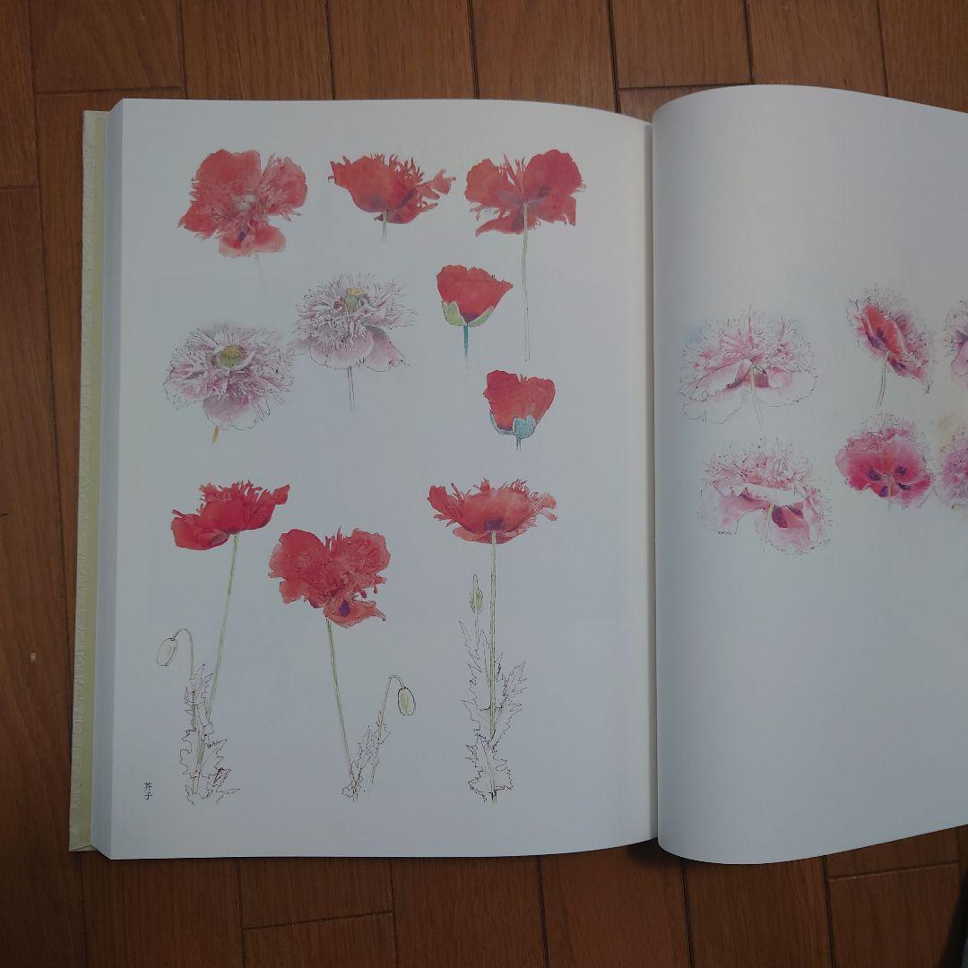 上村松篁画集