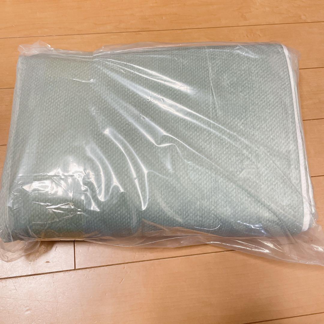Kate 背景布 6x3m 薄緑 背景 レトロ 背景布 撮影用 淡い グリーン