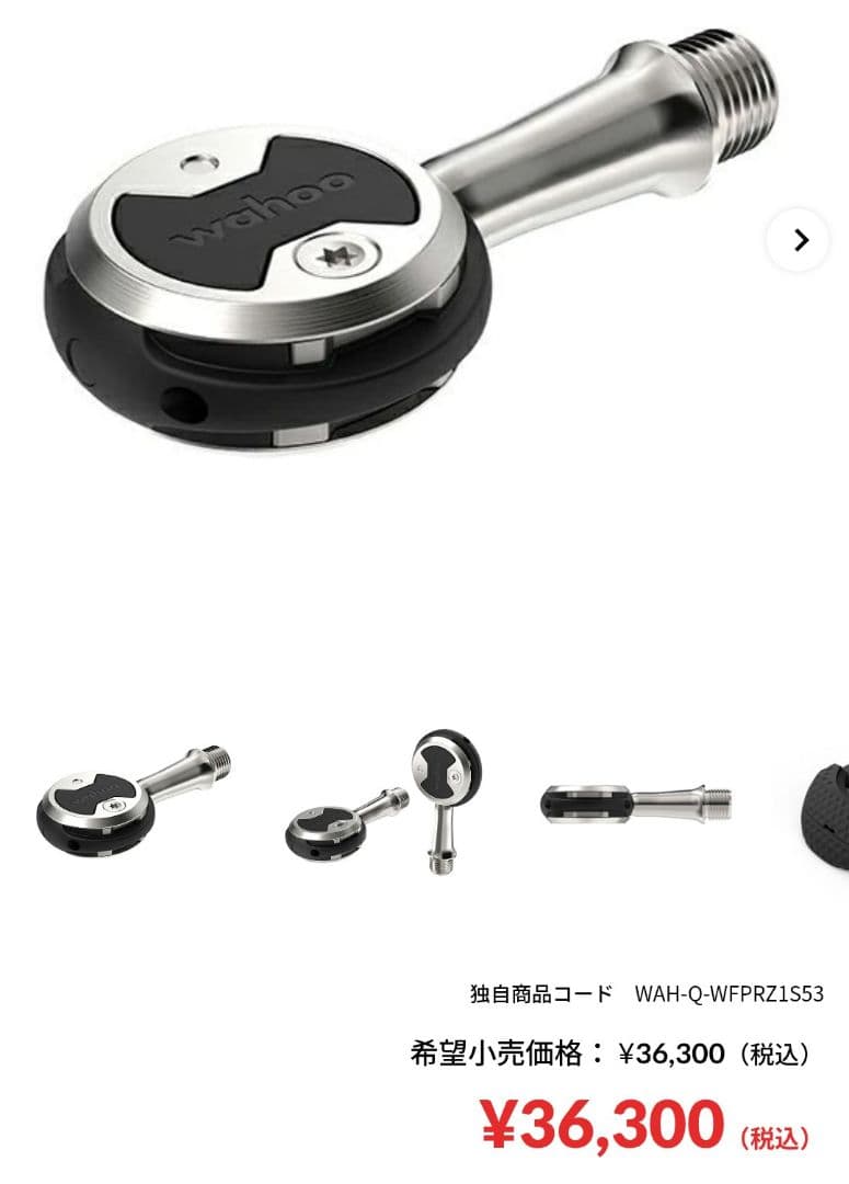 Wahoo SPEEDPLAY ZERO　ステンレス