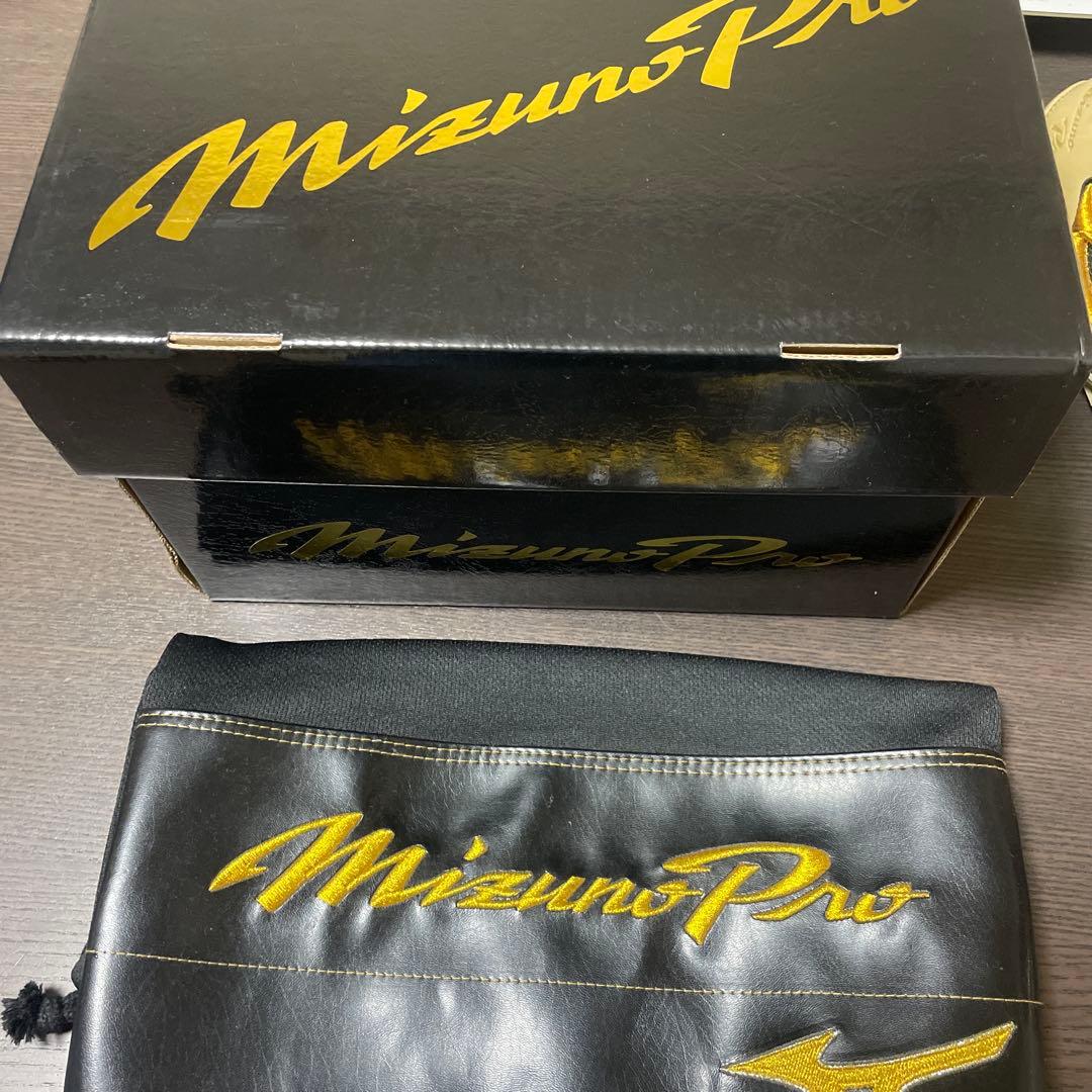 Mizuno プロ硬式 投手用グローブ