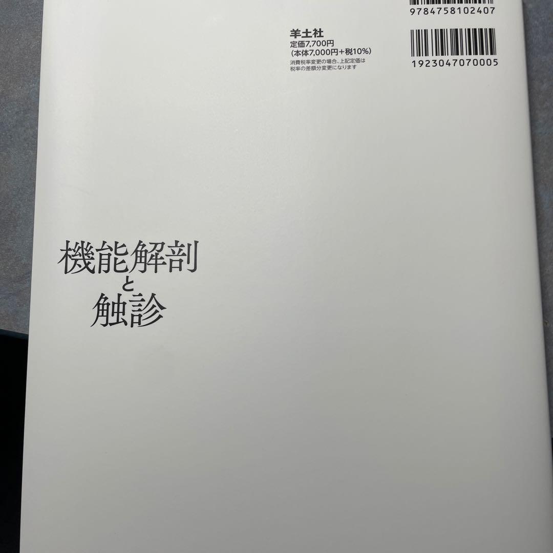 未使用　機能解剖と触診