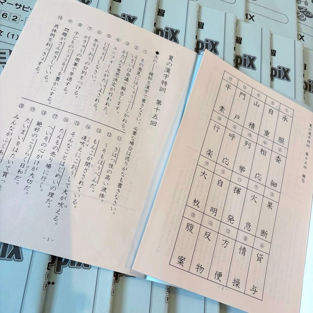 最新　2025年度 サピックス 夏期 春期 6年生 国語 全24回