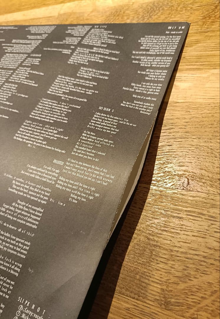 希少 SLIPKNOT 限定 ColorVinyl盤 LP 1999
