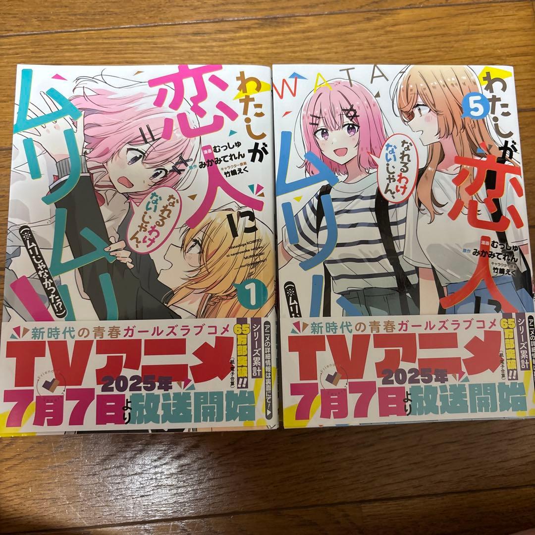 わたしが恋人になれるわけないじゃん、ムリムリ! 全巻セット