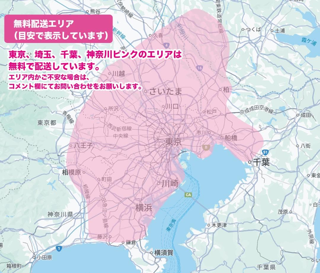 【PANASONIC】20インチ子供乗せ電動自転車ギュットアニーズNZ3087