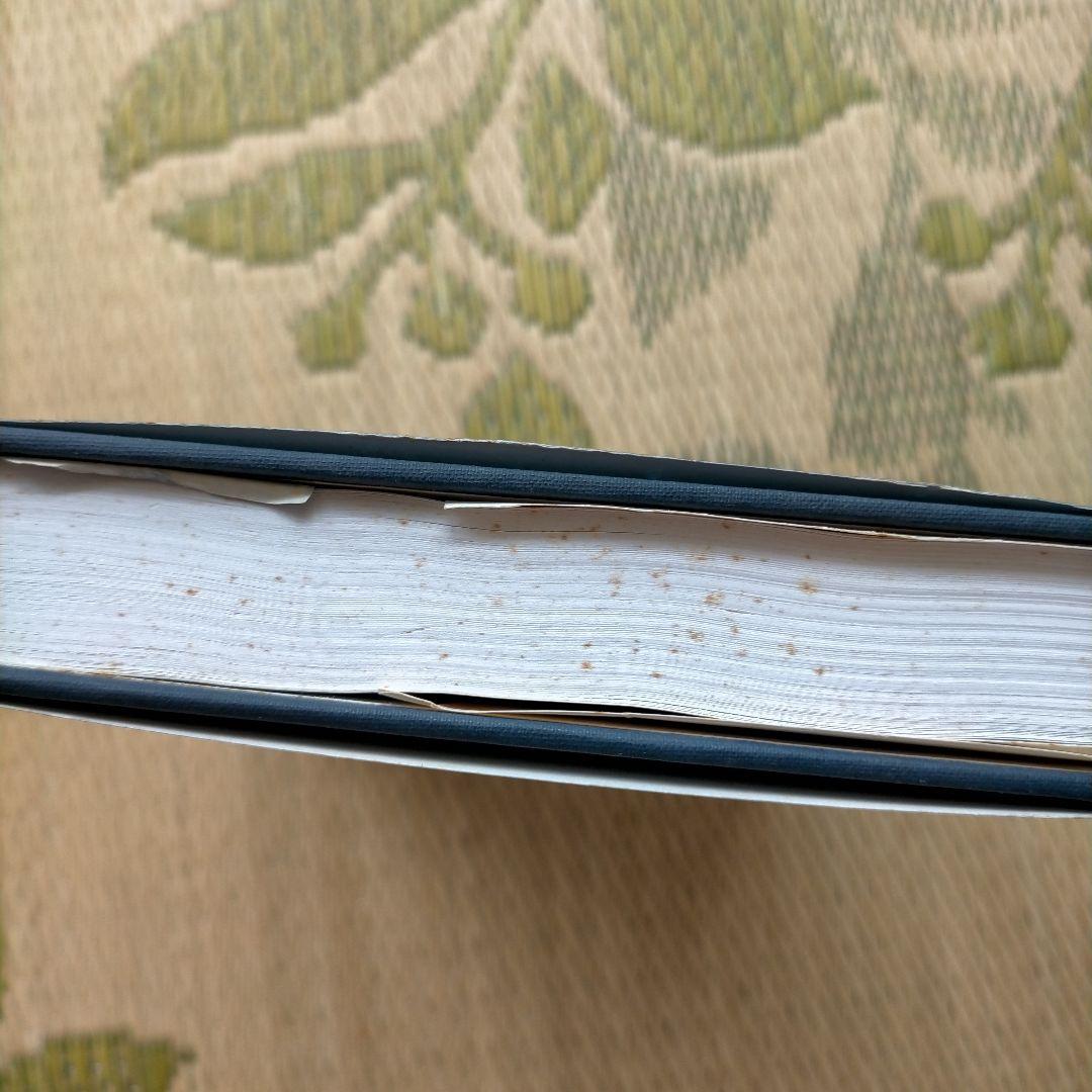 洋書 Images in Mind Stat in Arch & Clas Greek