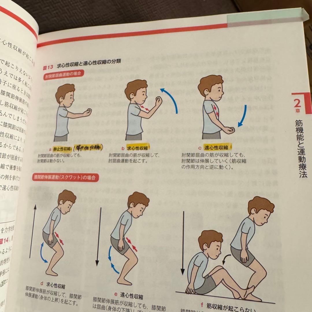 理学療法　教科書　まとめ売り