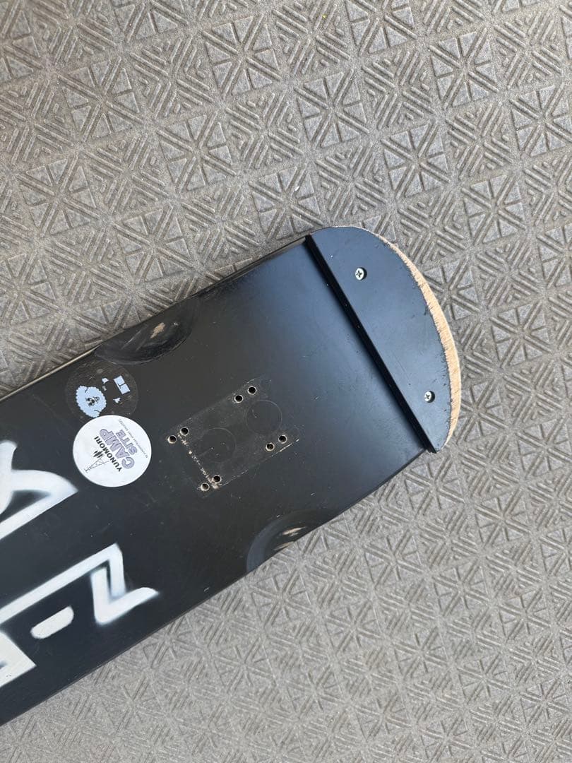 FESN クルーザーデッキ　z-flex スケートボード