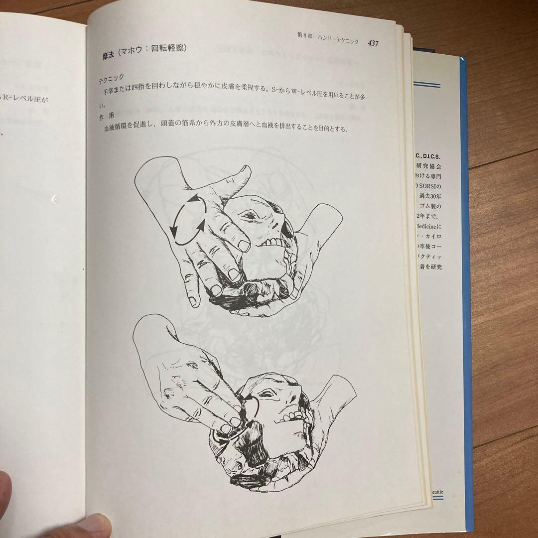頭蓋縫合