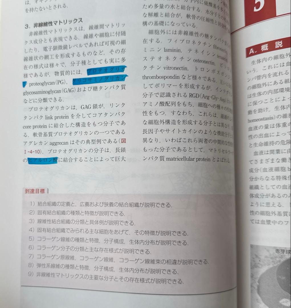 【美品】組織学・口腔組織学 第4版