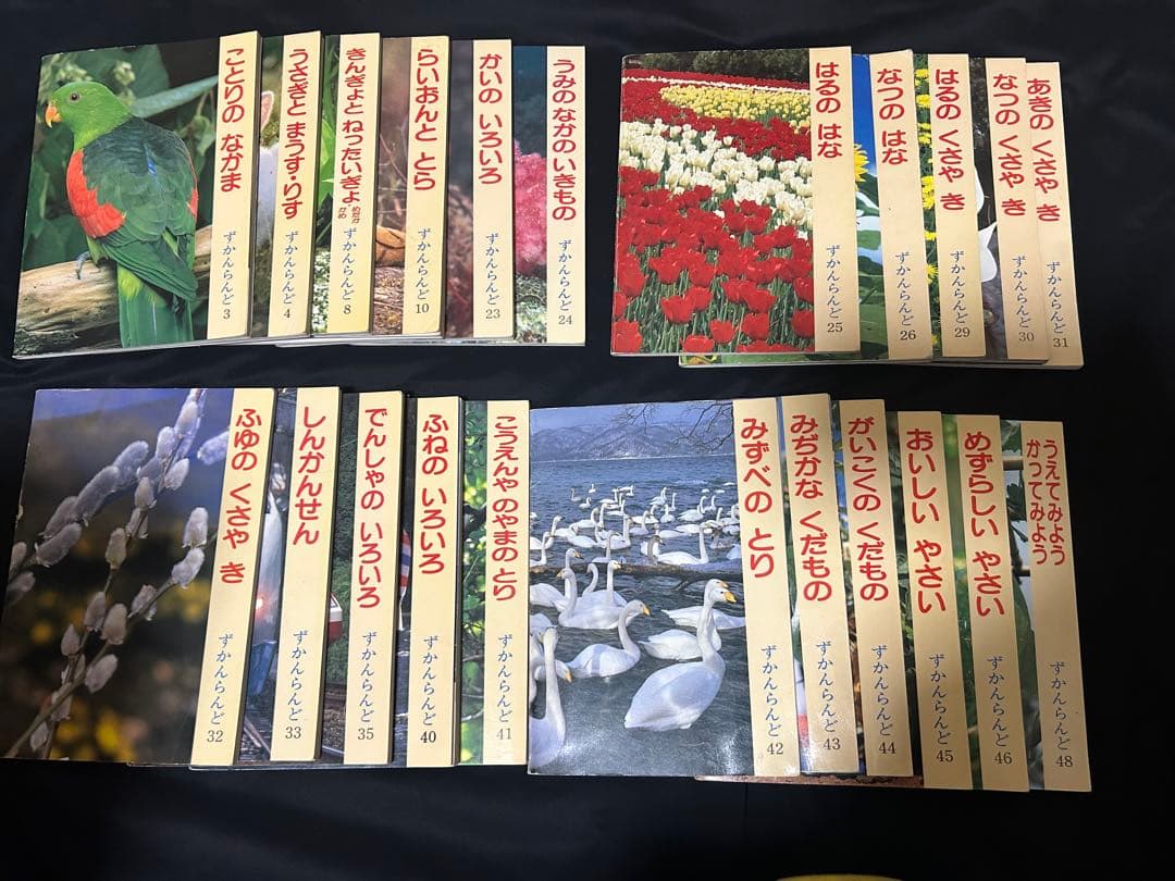 ずかんらんど　22巻