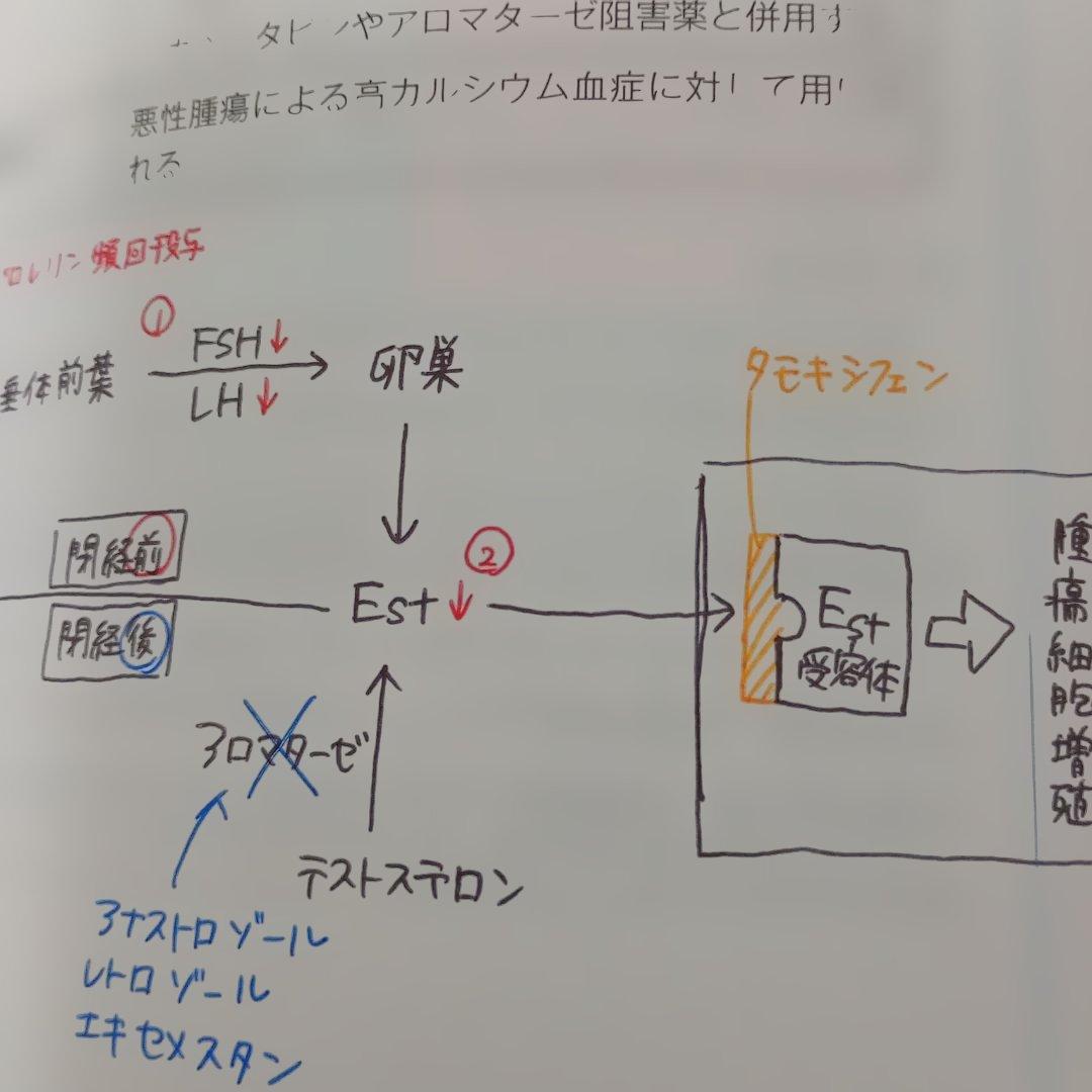 コアカリ 重点ポイント集& コアカリマスター 全6巻 セット 改訂第8版 薬剤師