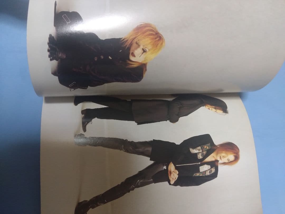 ヴィシャス Vicious  本/ラルクアンシエル、ジキル、ジル・ド・レイ 他