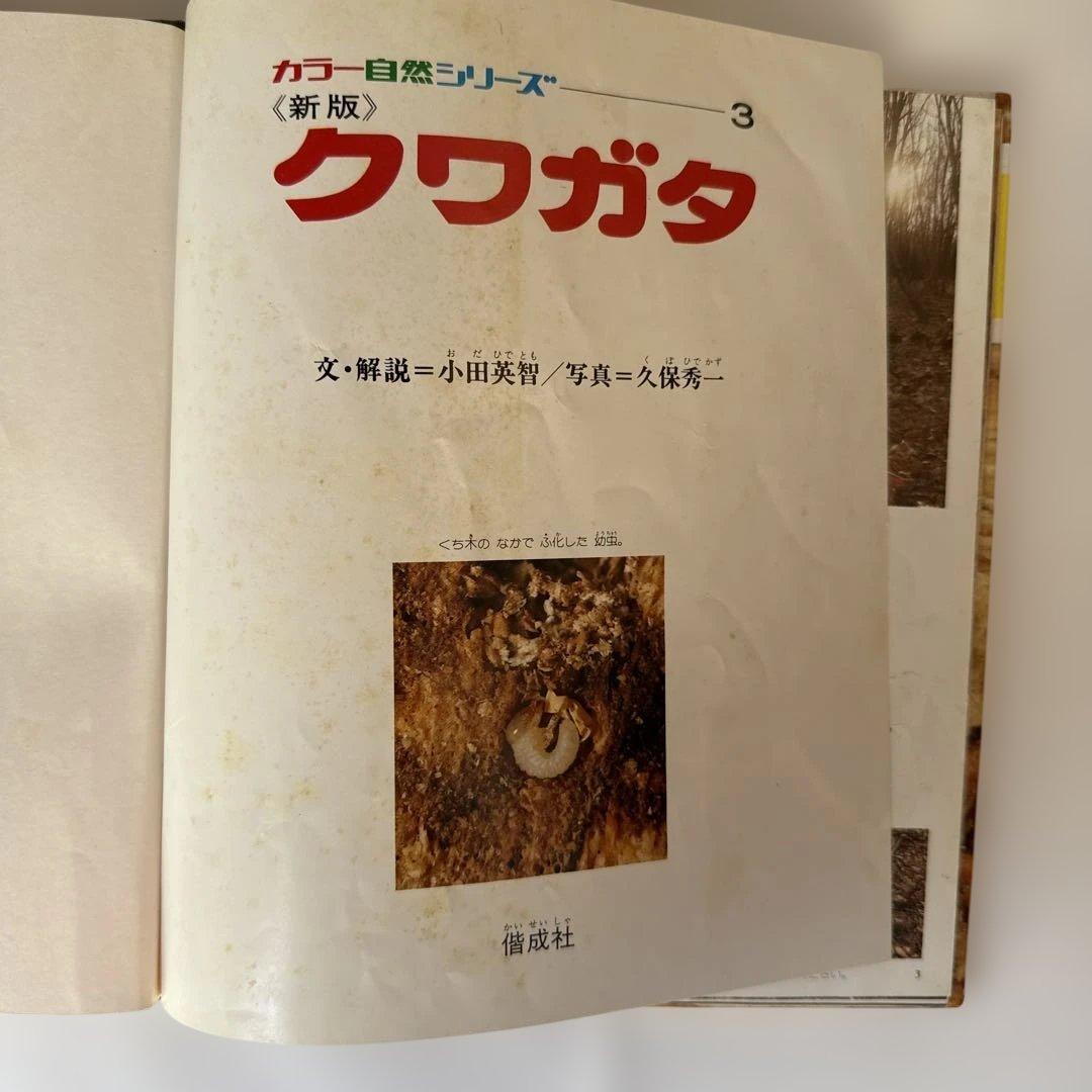 絵本　今でも人気の絵本28冊 :3.4才〜小学校中学年(ほるぷ　こりすコース)
