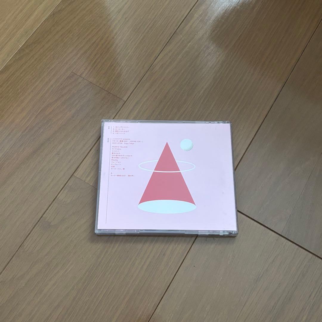 ハルカミライ　CD・DVD 4点セット