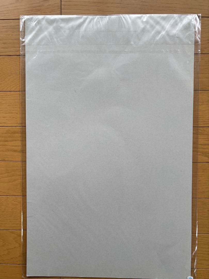 STUSSY ポスター3枚 活版印刷 Horwinski