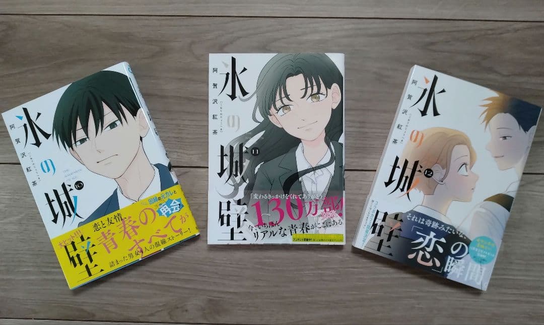 氷の城壁 1〜13巻
