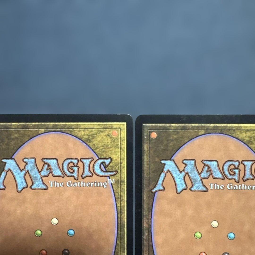 MTG サーボの網 日本語版4枚セット