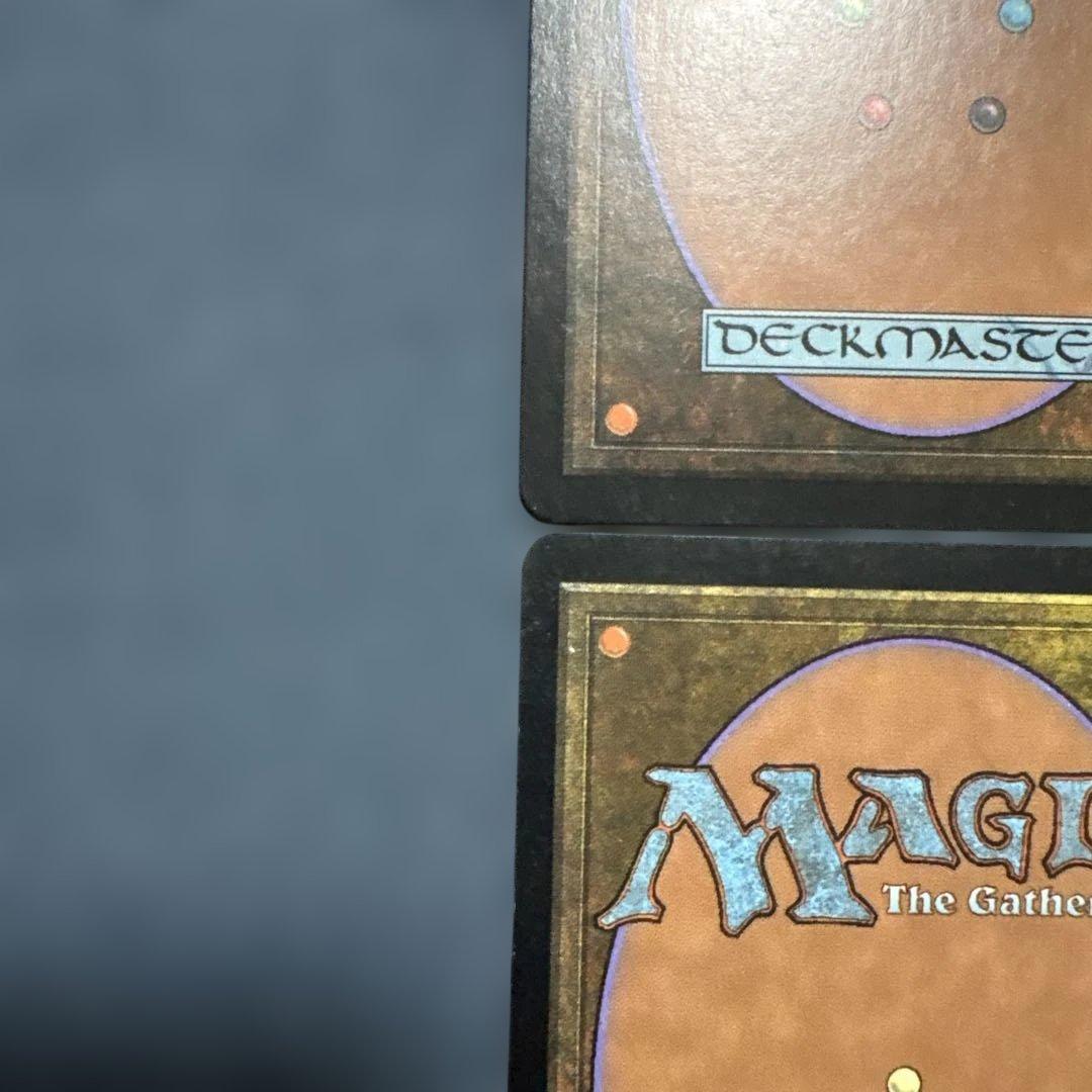 MTG サーボの網 日本語版4枚セット