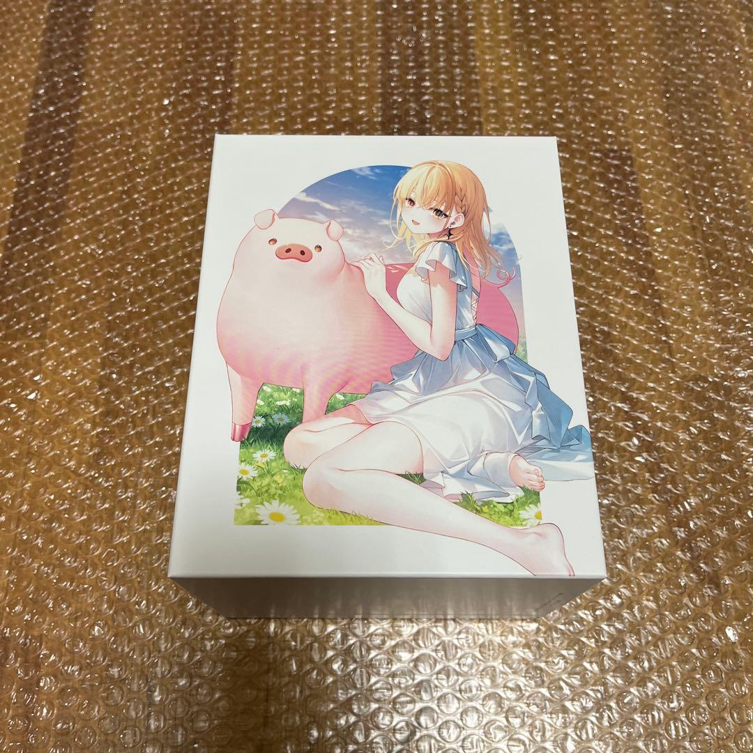 豚のレバーは加熱しろ 豚レバ DVD 全6巻セット 全巻収納BOX付き 未使用