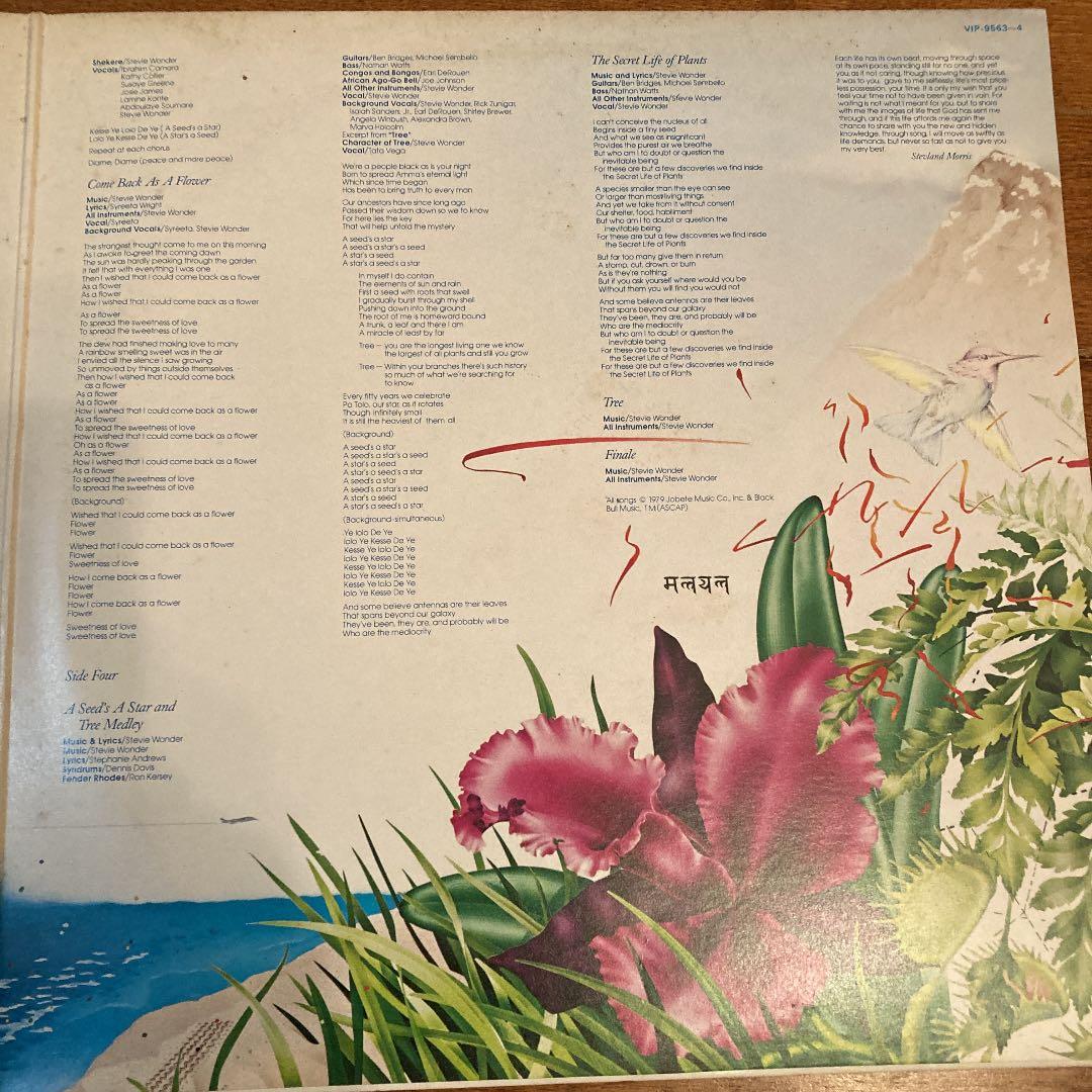 ⭐︎ STEVIE WONDER ⭐︎ 2枚組レコード