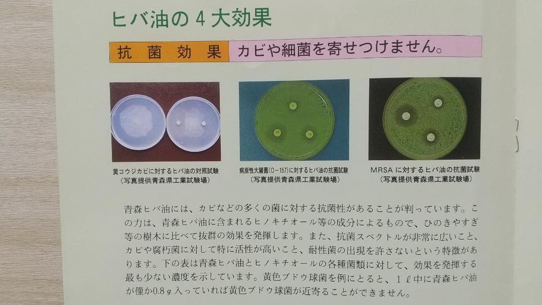 またちゃん　　ヒノキオイル ※青森ヒバ油 (精油)