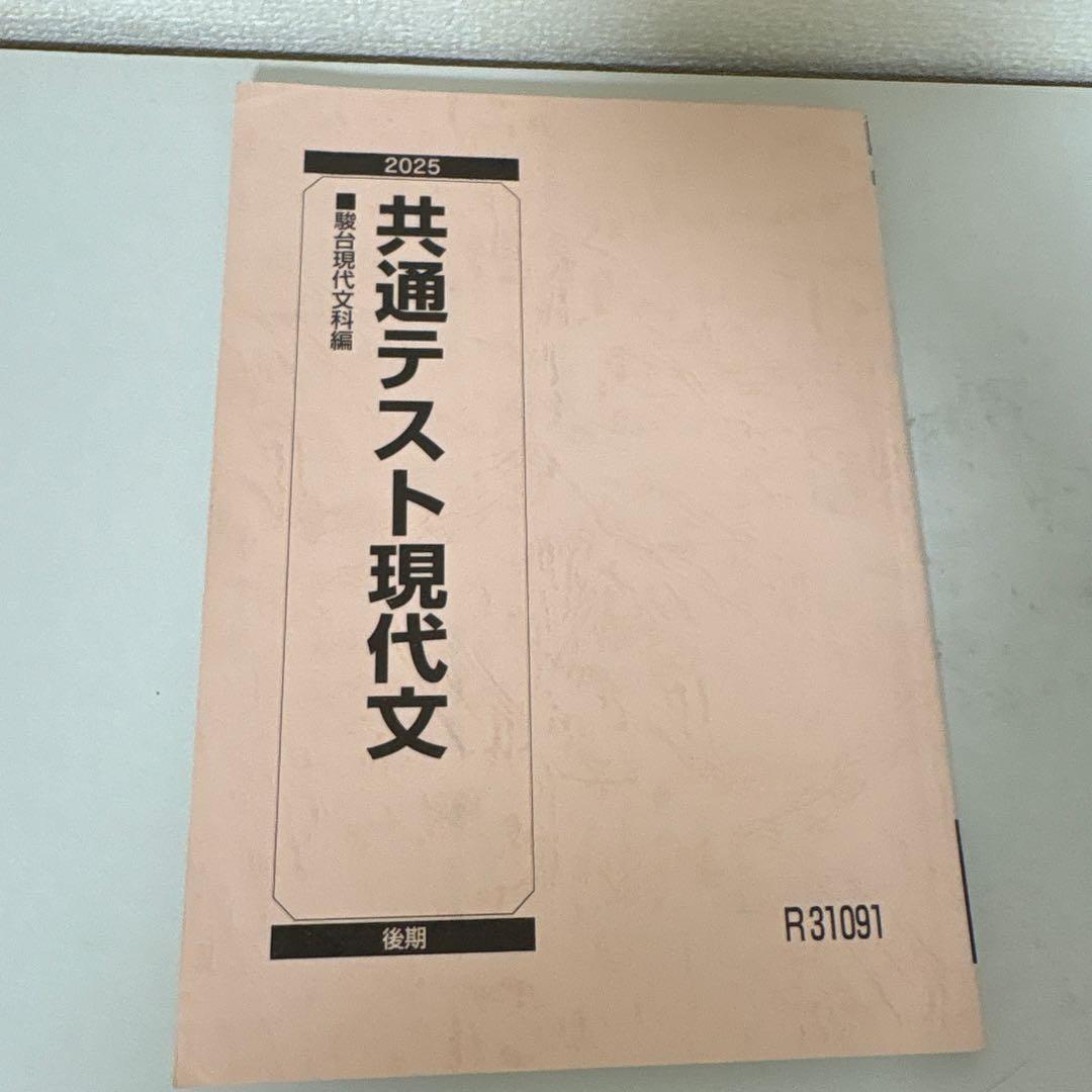 【バラ売り可】駿台テキスト　25冊セット