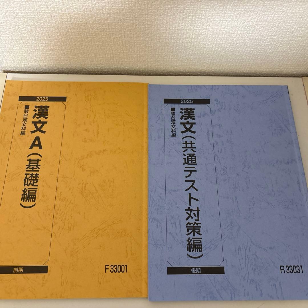 【バラ売り可】駿台テキスト　25冊セット