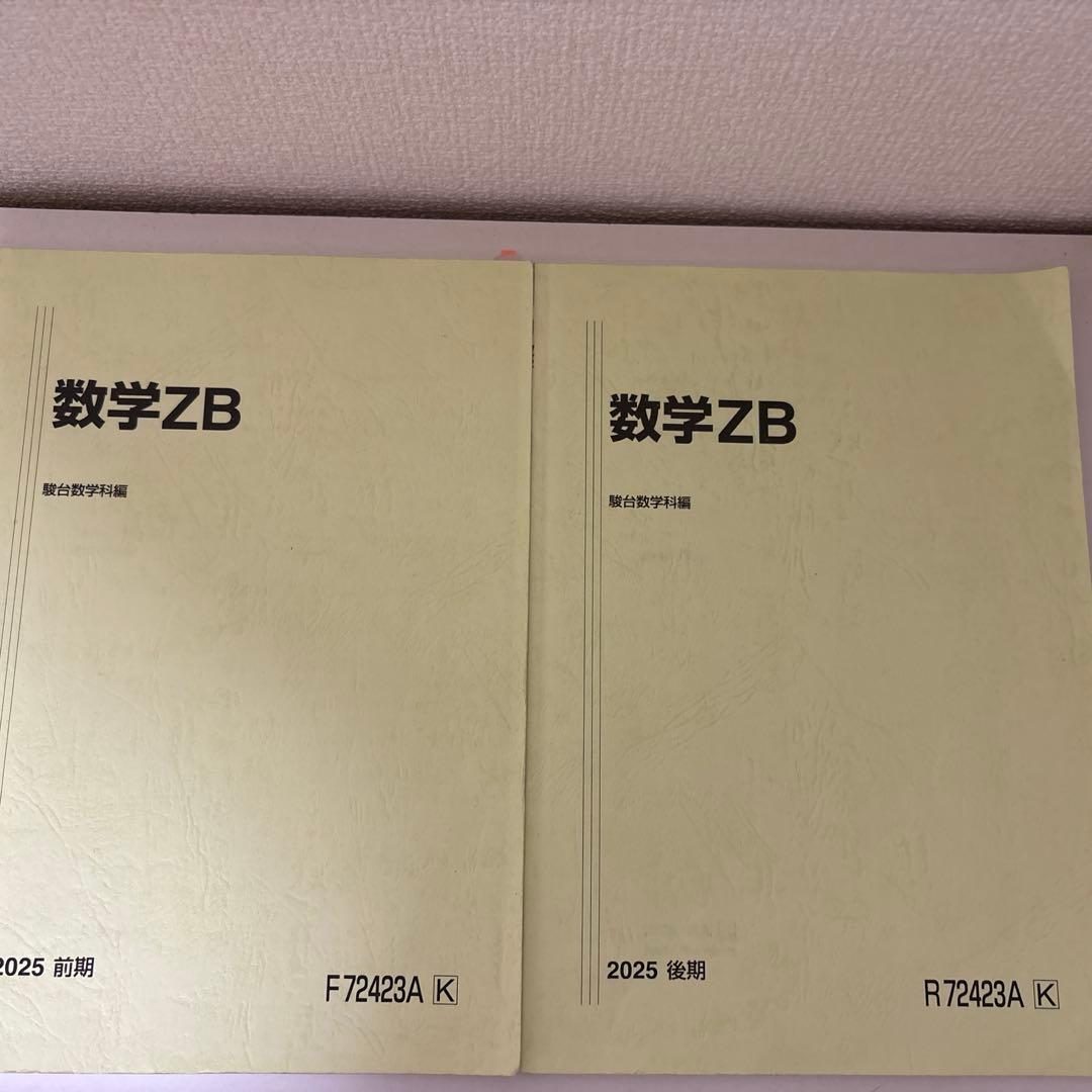 【バラ売り可】駿台テキスト　25冊セット