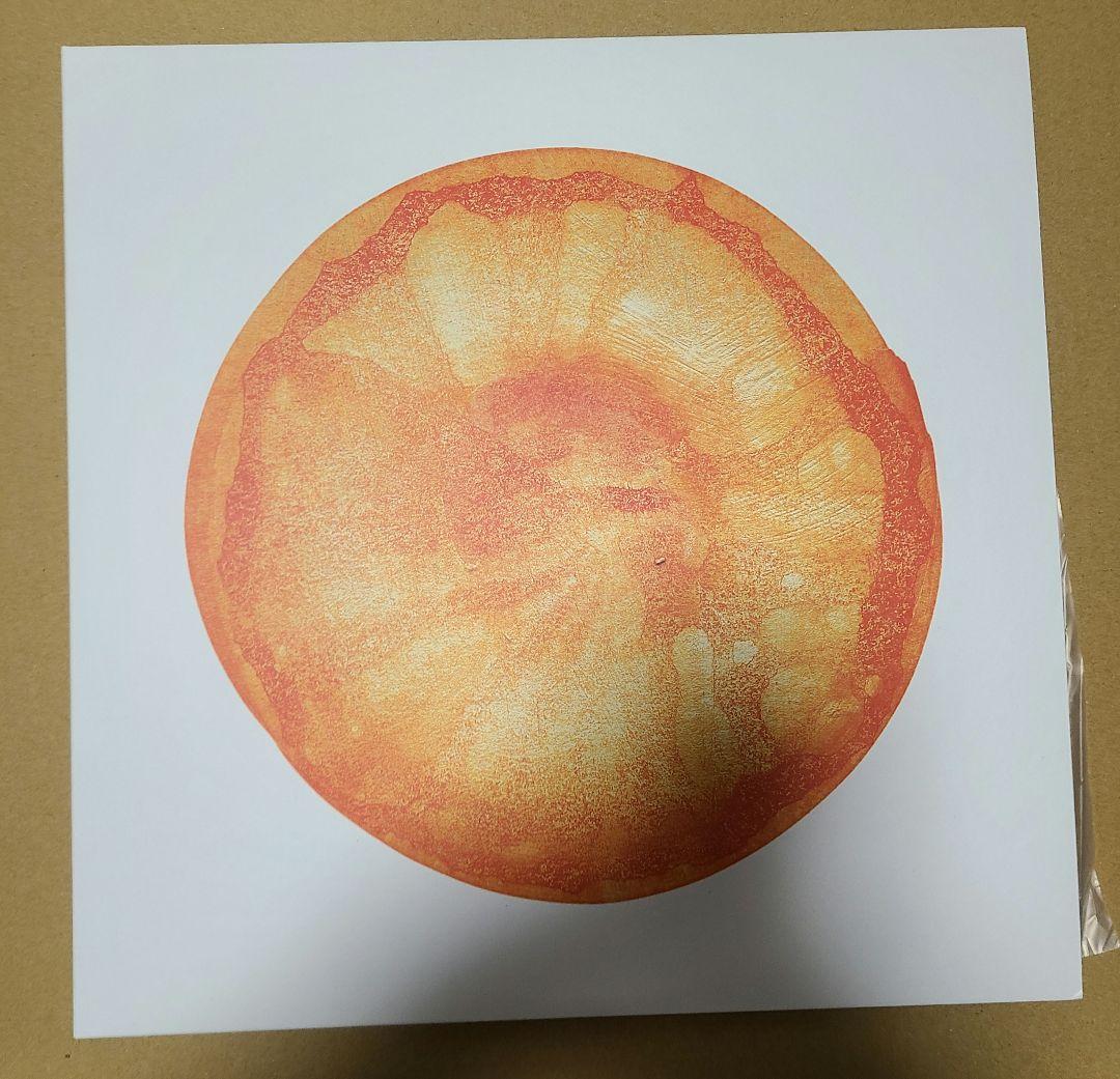 フィッシュマンズ 空中 宇宙 レコード 2枚セット fishmans