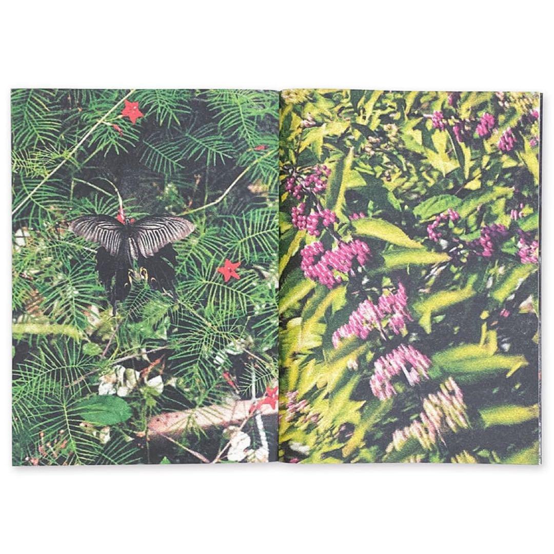 特典アリ‼️ Colin Sussingham 新作ZINE