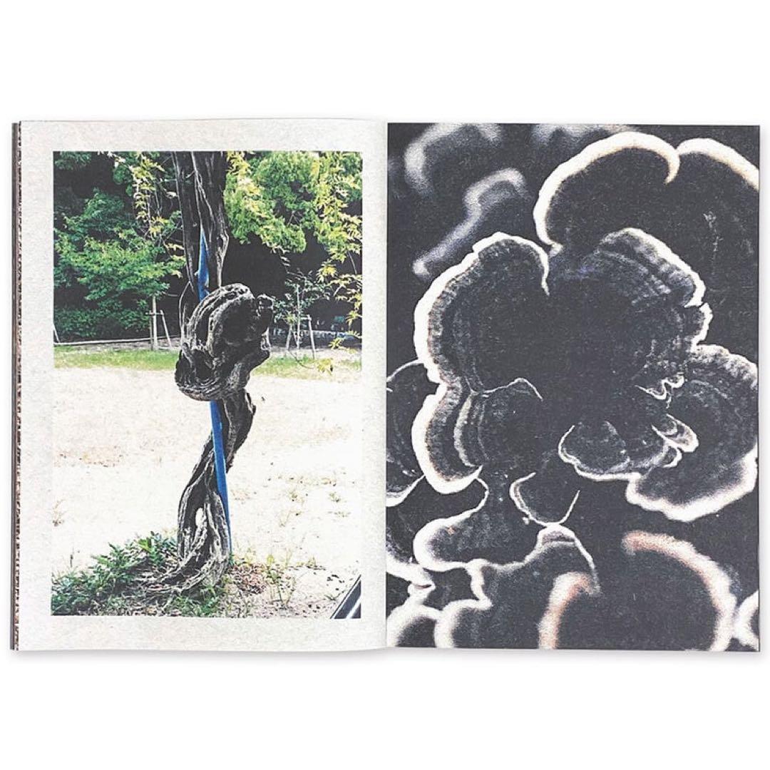 特典アリ‼️ Colin Sussingham 新作ZINE
