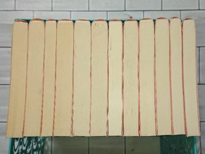 【12冊セット】「メゾン・ド・ポリス」&「警視庁アウトサイダー」全巻セット