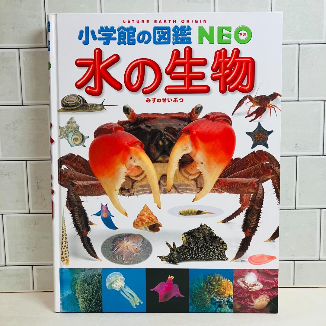 【定番の図鑑】小学館の図鑑NEO 10冊セット