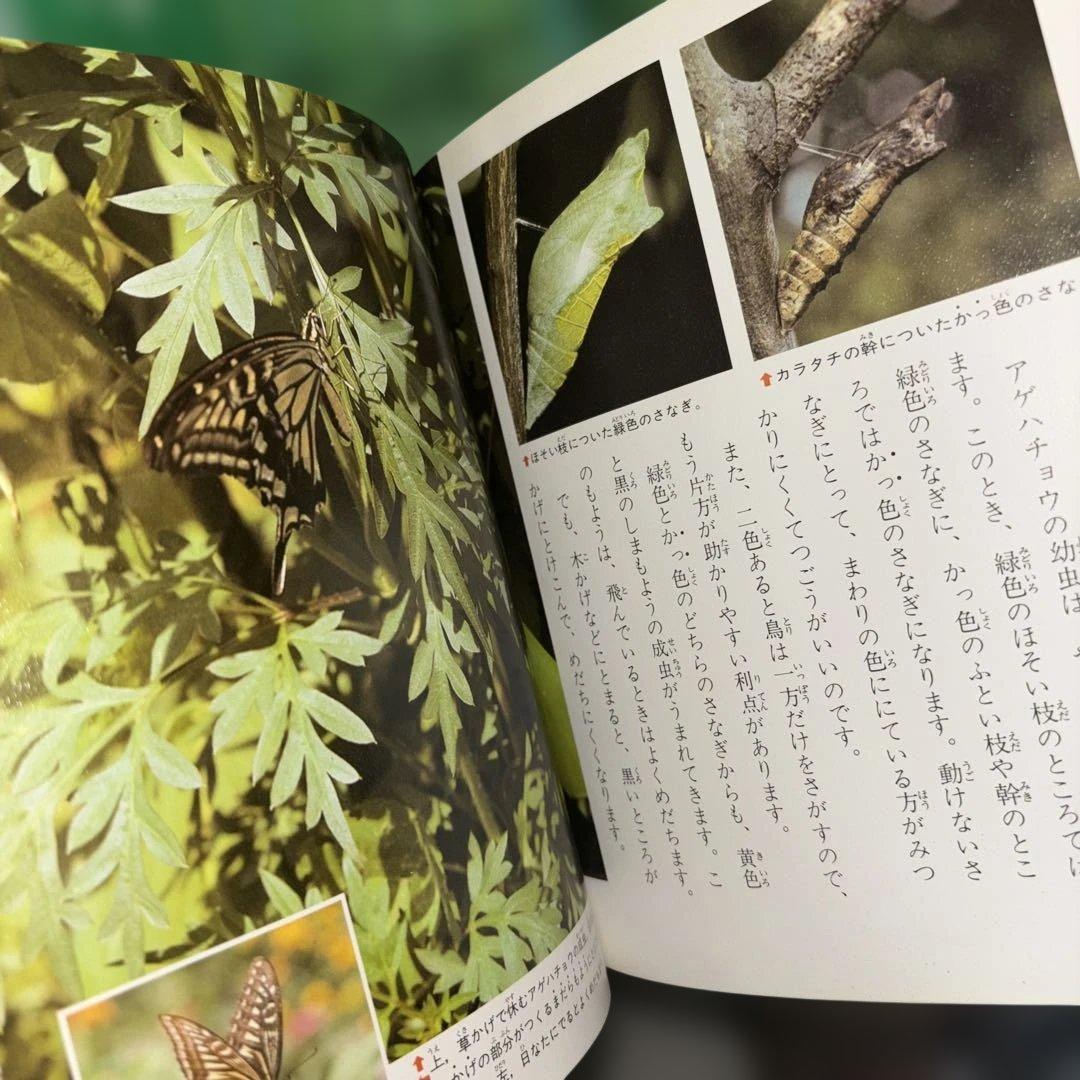 科学のアルバム 全巻セット103冊