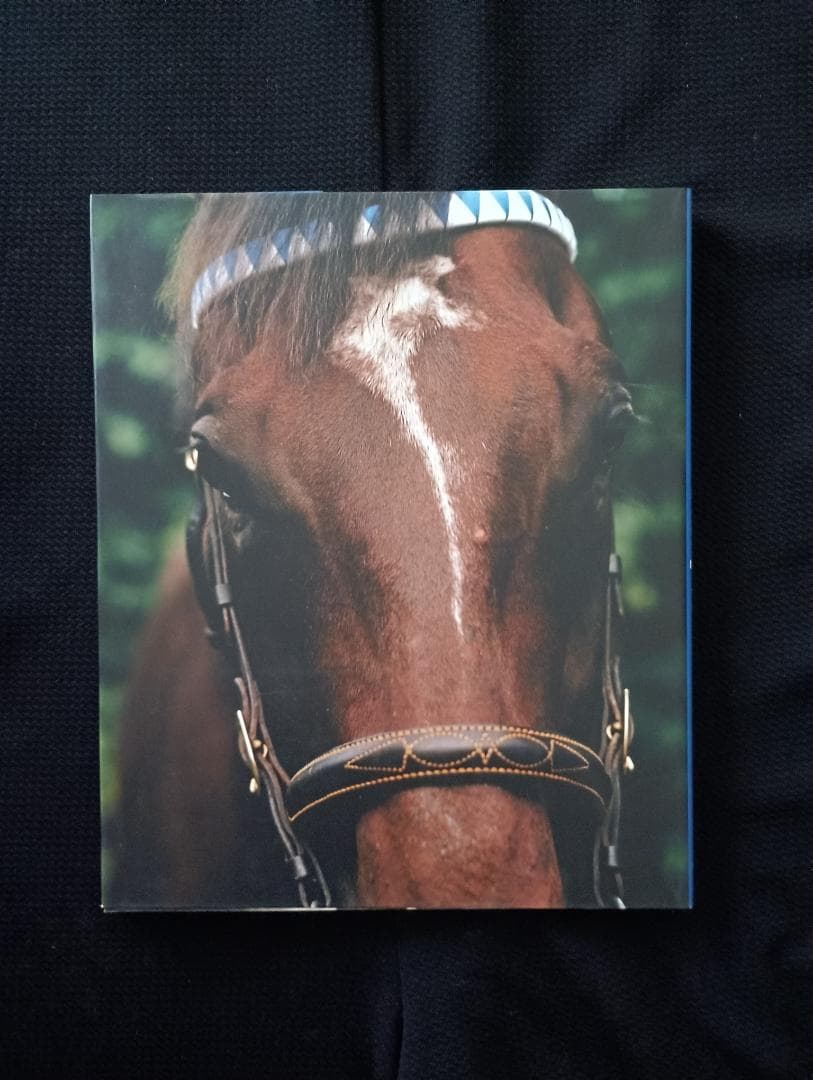 Darley 2006年　スタリオンブック　美品