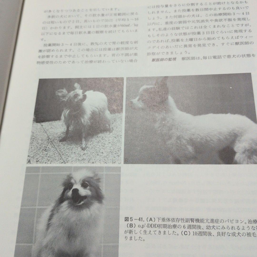 犬猫の内分泌病学 診断と治療のための専門書