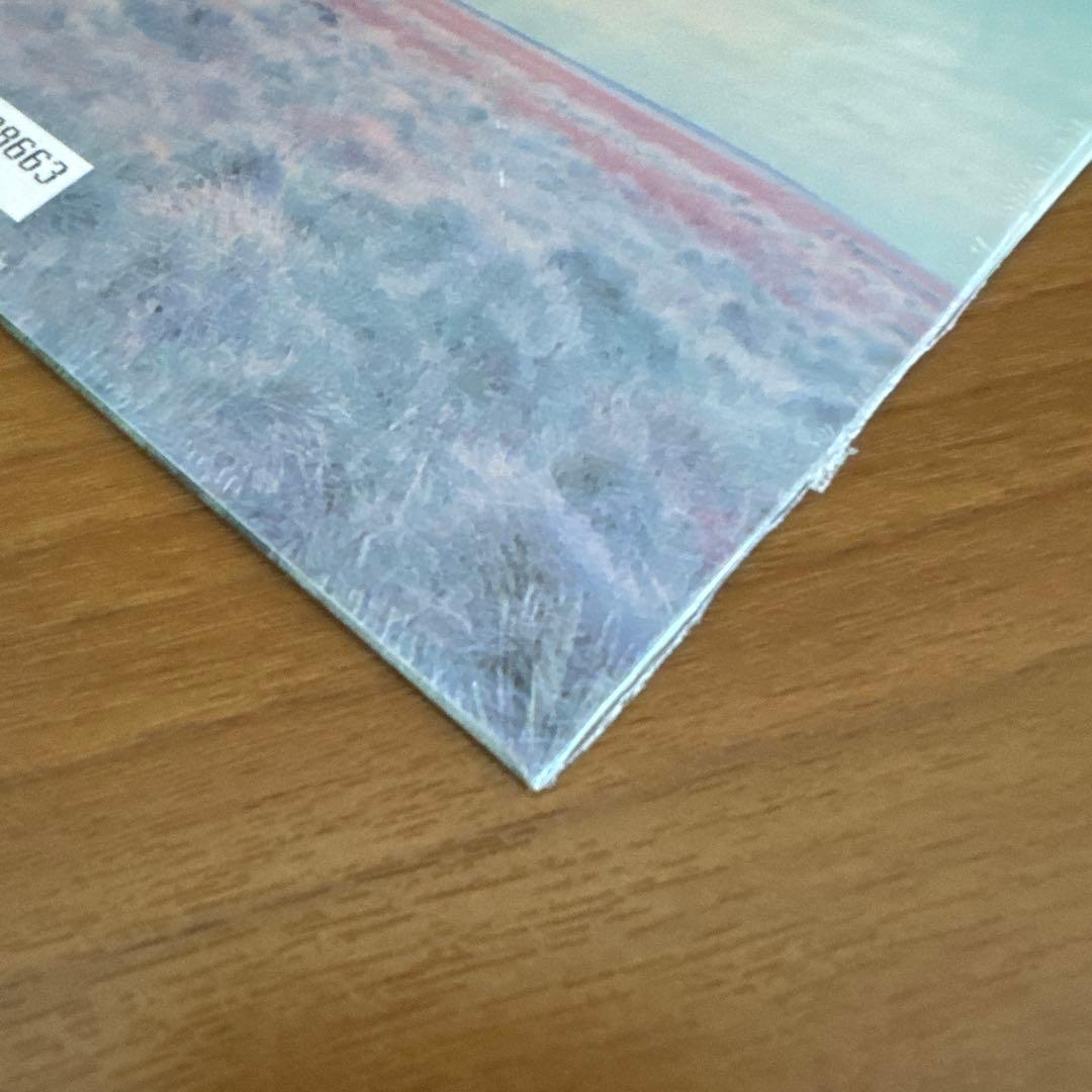 新品　Oasis オアシス　Whatever 30周年記念盤　RKID149C