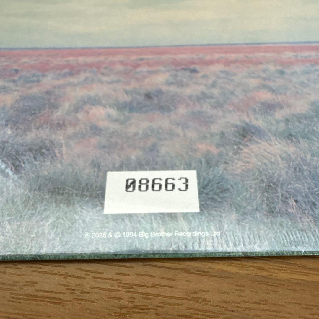 新品　Oasis オアシス　Whatever 30周年記念盤　RKID149C