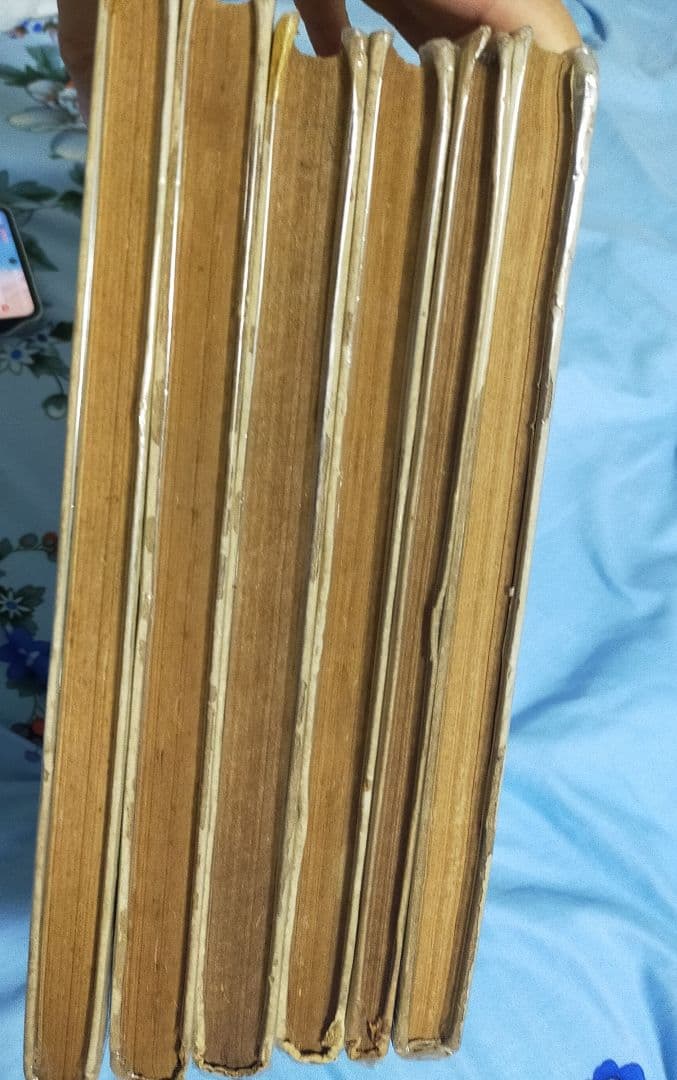 日本絵画集成 全8巻　６冊揃う　 雄山閣発行